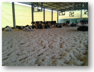 compostbarn2