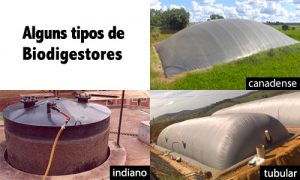 Tipos de biodigestores