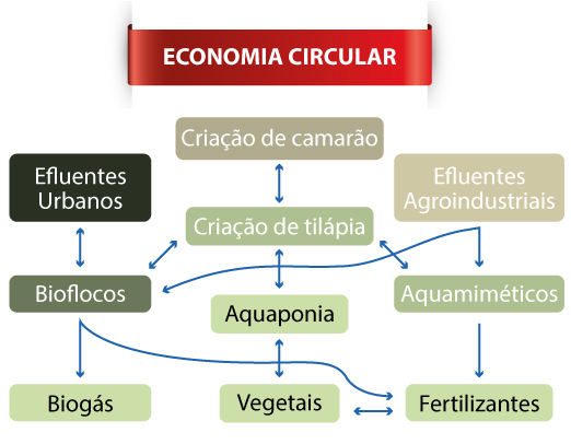 Figura  - O papel central da tilápia em uma Economia Circular