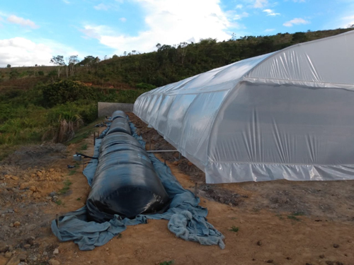 Estufa da Fábrica de Peixes e seus biodigestores