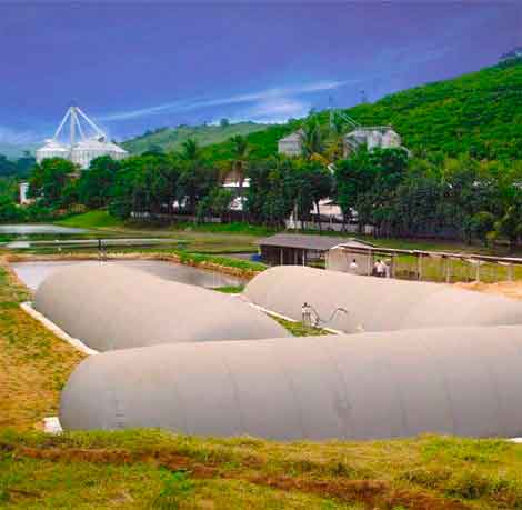 Três Biodigestores Tubular e sua lagoa de fundo