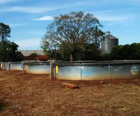 Tanques de cultivo