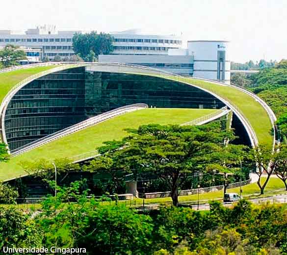 Telhado verde - Universidade de Cingapura